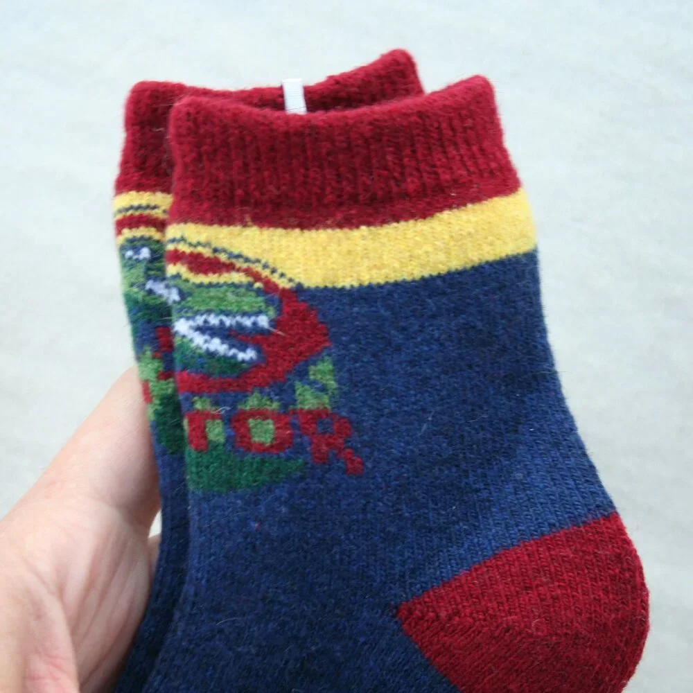 DINO SOCKS 2 PAIRS CUSHY KID BOY 3-4 YRS WARM WINTER LAYERS appx sz 9 - 11 shoe